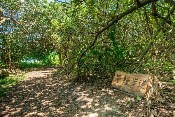 ▲▼草漯沙丘地質公園的潮音海觀景步道完工。（圖／桃園市政府提供）