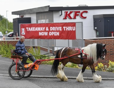 英男「駕馬車買得來速」遭肯德基拒賣　怒噴：大不了買大麥克