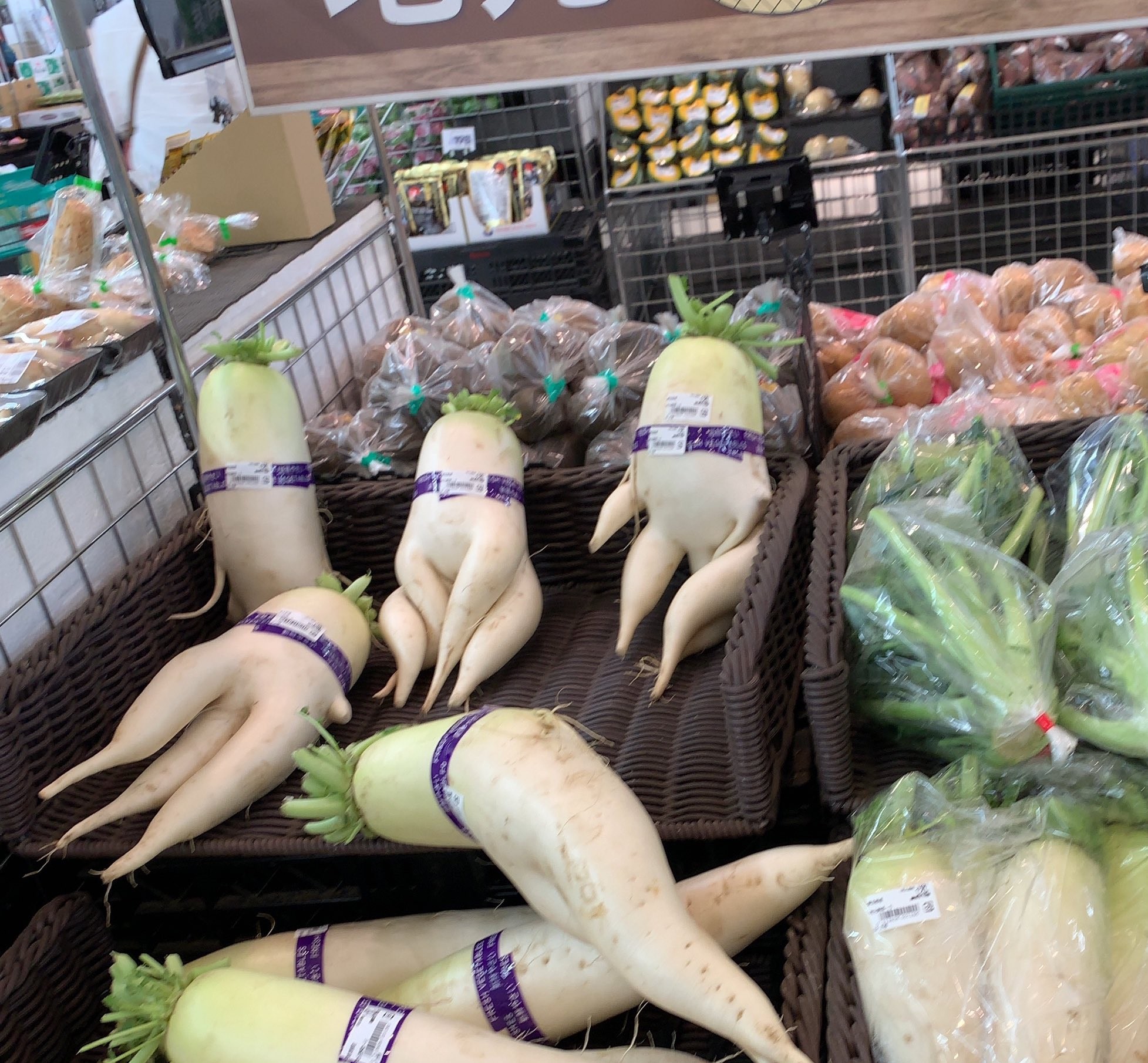▲▼日本有網友逛超市時驚見可愛「人形蘿蔔」。（圖／翻攝自Instagram／pppyon46497）