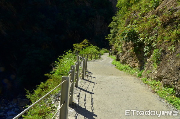 ▲施工期間白楊步道1公里處之後路段暫時封閉，前半段則維持開放。（圖／太管處提供，下同）