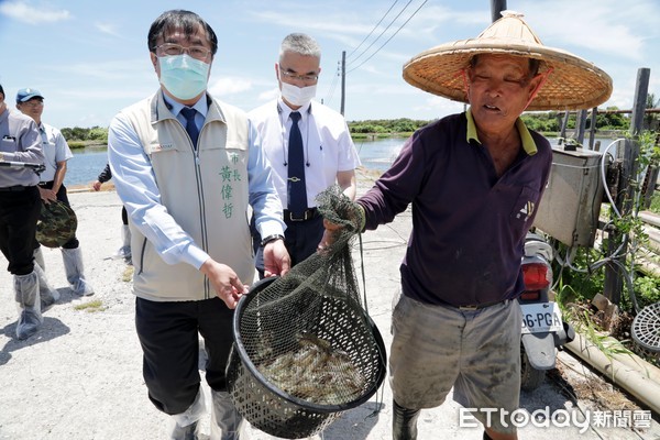 ▲台南市長黃偉哲偕同農業局長謝耀清，親自前往位於南區的養蝦場，瞭解及關心蝦場養殖狀況及防疫工作的進行。（圖／記者林悅翻攝，下同）