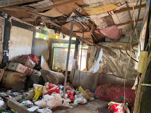 ▲▼             。（圖／基金會提供）