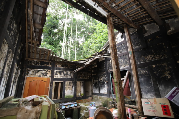 ▲▼             。（圖／基金會提供）