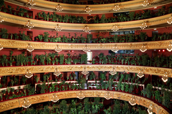 ▲▼西班牙利塞奧大劇院時隔三個月重新開放，觀眾席擺滿2292個盆栽。（圖／路透）