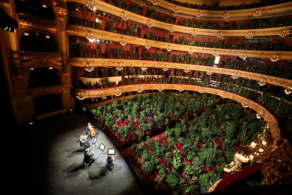 ▲西班牙利塞奧大劇院的觀眾席擺滿2292個盆栽。（圖／路透，下同）
