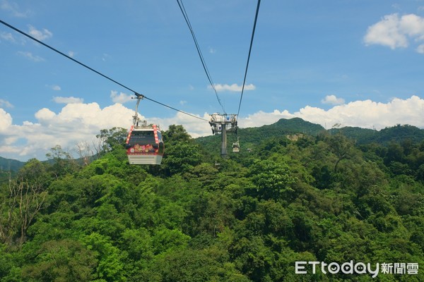 ▲貓空美加茶園,貓空,貓空纜車。（圖／記者彭懷玉攝）