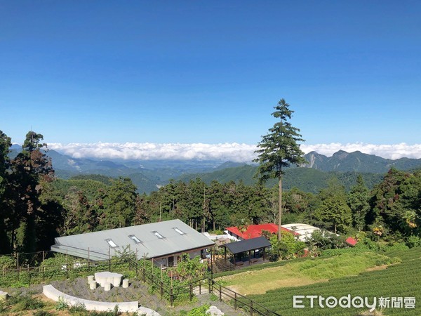 ▲龍雲農場。（圖／記者陳涵茵攝）