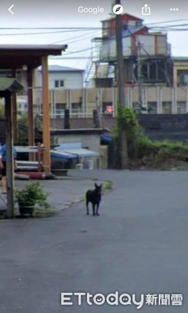 ▲見不到愛犬最後一面！　google街景見「熟悉黑影」淚崩。（圖／網友游先生提供）