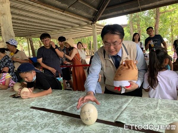 ▲台南市學甲區「頑皮世界」動物園，端午節正中午舉辦立鴕鳥蛋比賽，市長黃偉哲親自參與，和遊客們PK比賽，最後立鴕鳥蛋挑戰成功。（圖／記者林悅翻攝，下同）