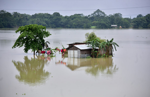 ▲▼印度阿薩姆邦被洪水淹沒的房屋。（圖／路透）