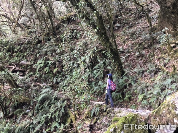 ▲▼登山,台灣高山。（圖／記者洪巧藍攝）