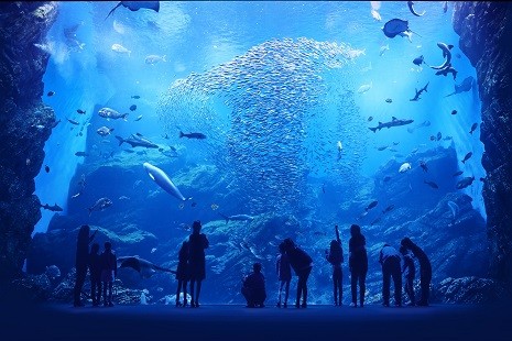 仙台海之杜水族館（圖／翻攝自仙台海之杜水族館官網）