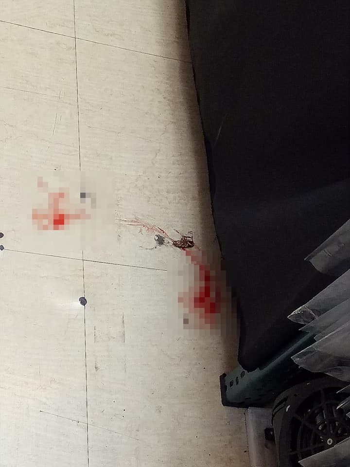 ▲▼負傷的老鼠跑進原PO的店裡。（圖／翻攝爆廢公社公開版）
