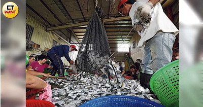 不忍牠們安樂死!日男打造「貓咪公寓」 租房兼認養u2026生病還幫解決