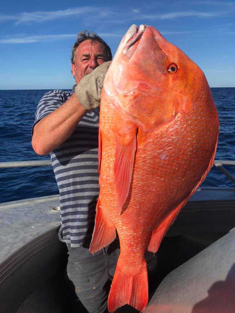 （圖／翻攝自Rainbow Beach Deep Sea Fishing on the Keely Rose 臉書）