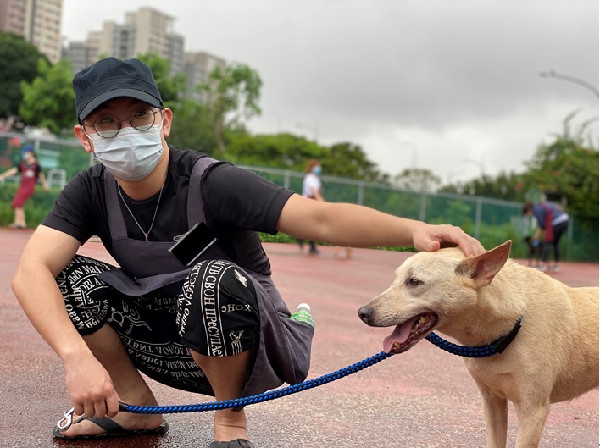 ▲▼哈士奇去公園散步中暑休克！　飼主掌握「3原則」CPR救回一命。（圖／新北市動保處）