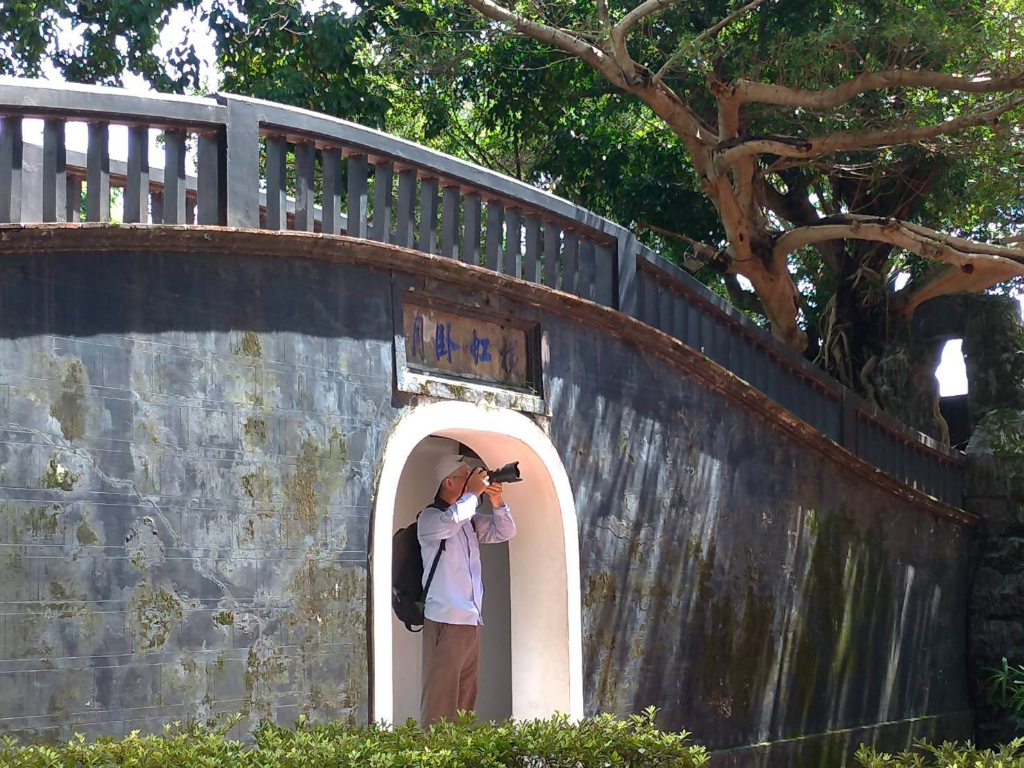 ▲ 新北國定古蹟林本源園邸 植栽專案小組打造「無褐家園」。（圖／新北市文化局提供）