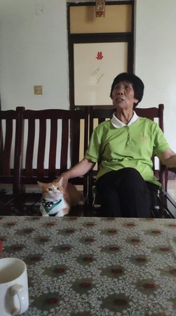 ▲▼70歲阿嬤人生第一次抱貓。（圖／有點毛毛的／粉專「貓界小鮮肉-阿蹼仔」提供）