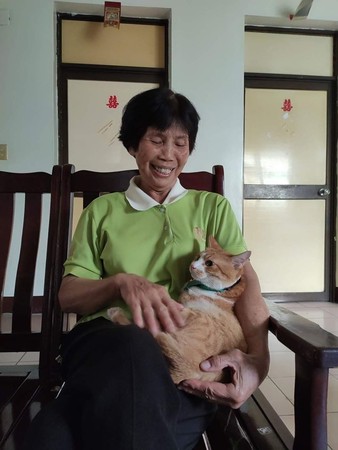 ▲▼70歲阿嬤人生第一次抱貓。（圖／有點毛毛的／粉專「貓界小鮮肉-阿蹼仔」提供）
