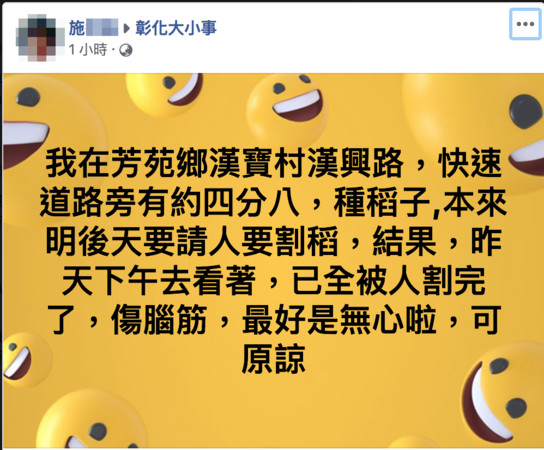 ▲施姓農民的稻田被盜割。（圖／施姓農民提供）