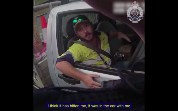 ▲吉米向警察告知被毒蛇攻擊的事情，還問警察「你能體會我現在的感受嗎？」。（圖／翻攝自QLD警局臉書）