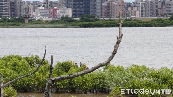 ▲▼台北市社子島淡水河上2人落水。（圖／記者黃彥傑攝）