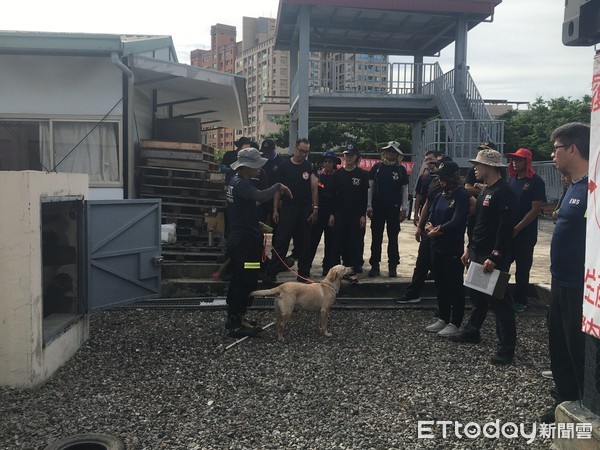 ▲台南市消防局於7月7日至9日移地至楠梓搜救犬馴養中心，辦理領犬員培訓，由各大隊具有意願且熱愛動物、富有愛心、耐心者計17名人員參訓。（圖／記者林悅翻攝，下同）