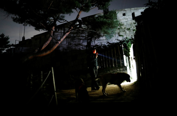▲▼南韓首爾市長朴元淳已尋獲，搜救犬在樹林間找到。（圖／路透）。（圖／路透）