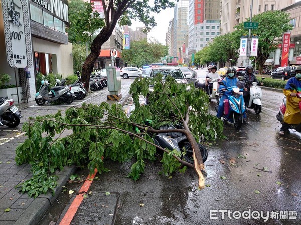 ▲▼台中10日午後大雨狂炸造成兩起意外！路樹倒塌砸到騎士，另外還刺穿公車擋風玻璃。（圖／記者李忠憲翻攝）