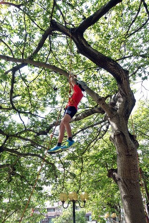 ▲科學博覽會樹攀體驗，讓學童不同視角學會體驗大自然。（圖／嘉義市政府提供）