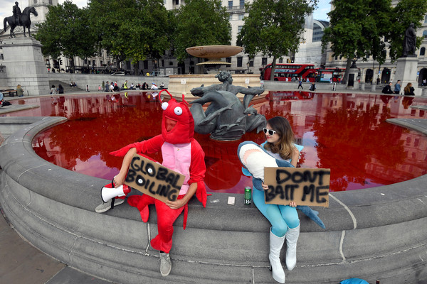 ▲▼「動物反叛」（Animal Rebellion）團體染紅倫敦特拉法加廣場（Trafalgar Square）噴水池。（圖／路透）