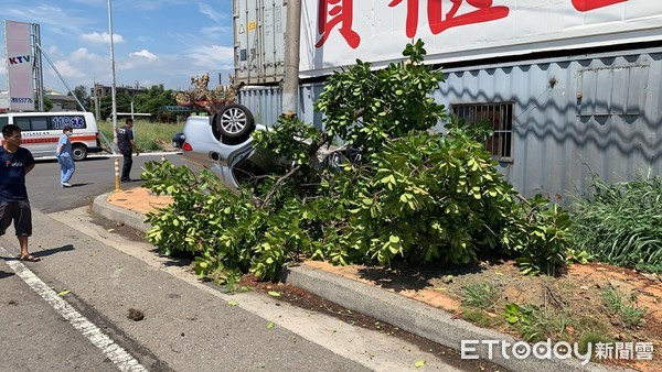 ▲林男駕車高速衝撞路樹，導致翻車4輪朝天，也將路樹連根拔起，斷成2截。（圖／記者黃孟珍翻攝）