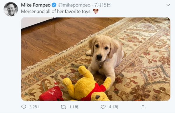 ▲美國國務卿蓬佩奧（Mike Poempeo）在推特個人帳號發布一張照片，愛犬馬爾瑟（Mercer）與牠「最喜愛的玩具」小熊維尼。（圖／翻攝Twitter@mikepompeo）