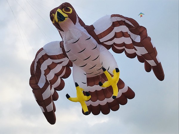 ▲▼周末（18日）來這玩，冬山風箏嘉年華讓你感受美麗璀璨風箏飛翔樂趣，並與「斑比山丘」的小鹿們互動。（圖／亞洲國際風箏聯合會提供，下同）
