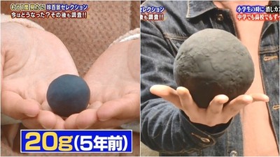 球越大越認真　學霸蒐集「橡皮擦屑成球」　11年後成巨大黑球體：要傳承下去