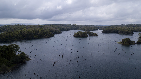 ▲▼  巴拿馬人工湖加通湖（Gatun Lake）。（圖／達志影像／美聯社）