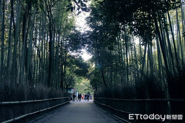 京都嵐山竹林小徑，竹林之徑（圖／資料照／記者蔡玟君攝）