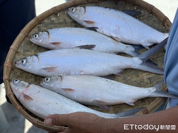 ▲▼家樂福台南虱目魚塭。（圖／記者蕭筠攝）