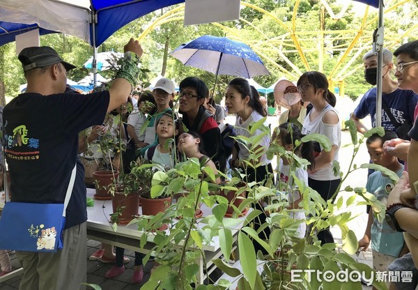 ▲西拉雅蝴蝶遊樂園。（圖／觀光局提供）