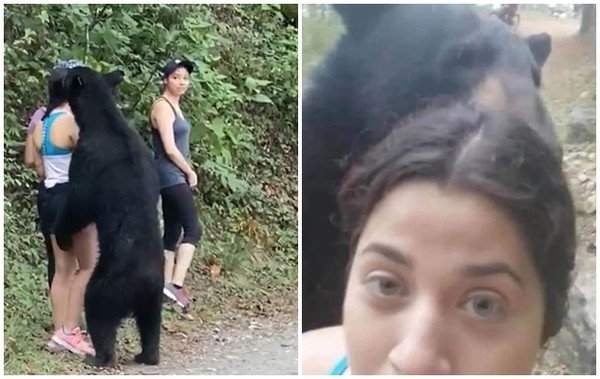 ▲▼女子與朋友登山遇到黑熊，自拍照曝光。（圖／翻攝自Reddit／TikTok「PonchoDeNigris」）