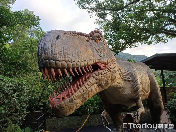 ▲大板根森林溫泉酒店即日起至9月30日推出超狂的「恐龍探索森林」特展。（圖／業者提供）