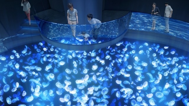 ▲▼日本東京「墨田水族館」重新開幕，新設水母發光透名地板。（圖／翻攝自Facebook／すみだ水族館）