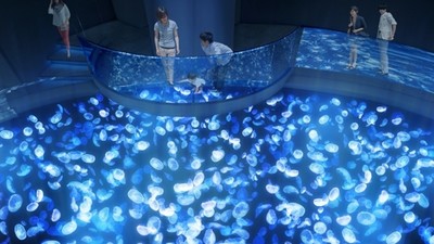 500隻發光水母照亮地板　墨田水族館炫幻再開　「大培養皿」水母池登場