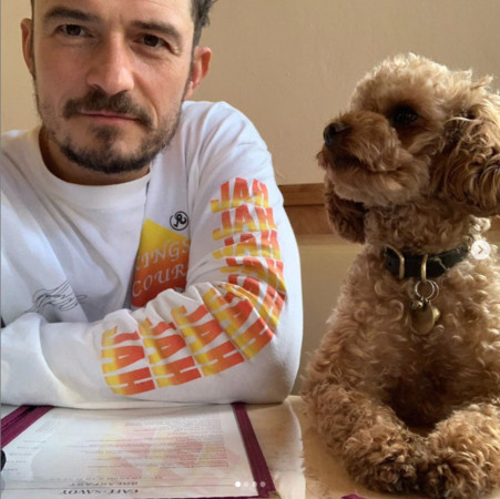 ▲▼奧蘭多布魯宣告愛犬死亡。（圖／翻攝自Instagram／Orlando Bloom）