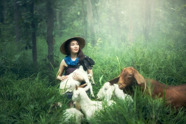 ▲土耳其一名大媽出門遭動物包圍，彷彿童話故事場景。（示意圖）（圖／取自免費圖庫Pixabay）