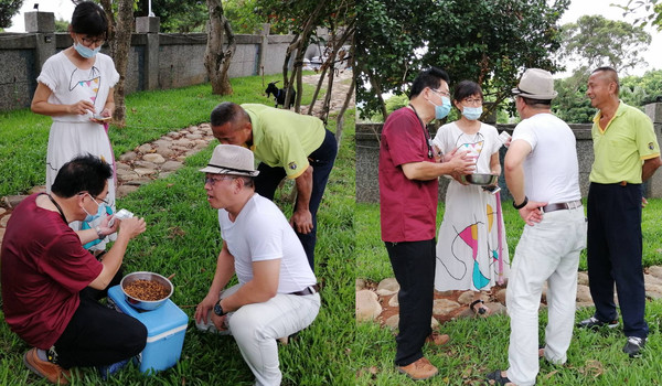 ▲▼文化國小寵物羊突腹瀉發燒！　低頭乖巧給獸醫「捅屁屁」醫治。（圖／新北市動保處提供）