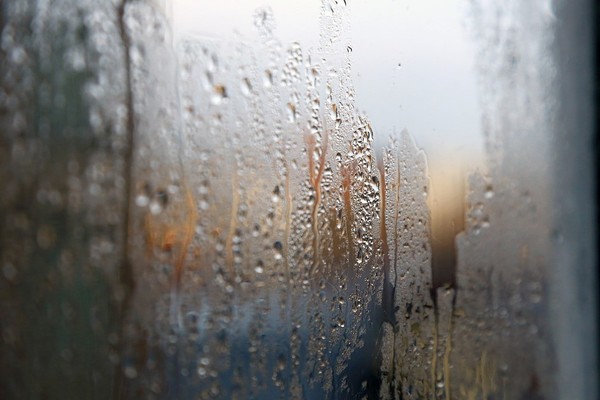 ▲▼潮濕,下雨,雨天,濕氣,雨滴。（圖／Pixabay）