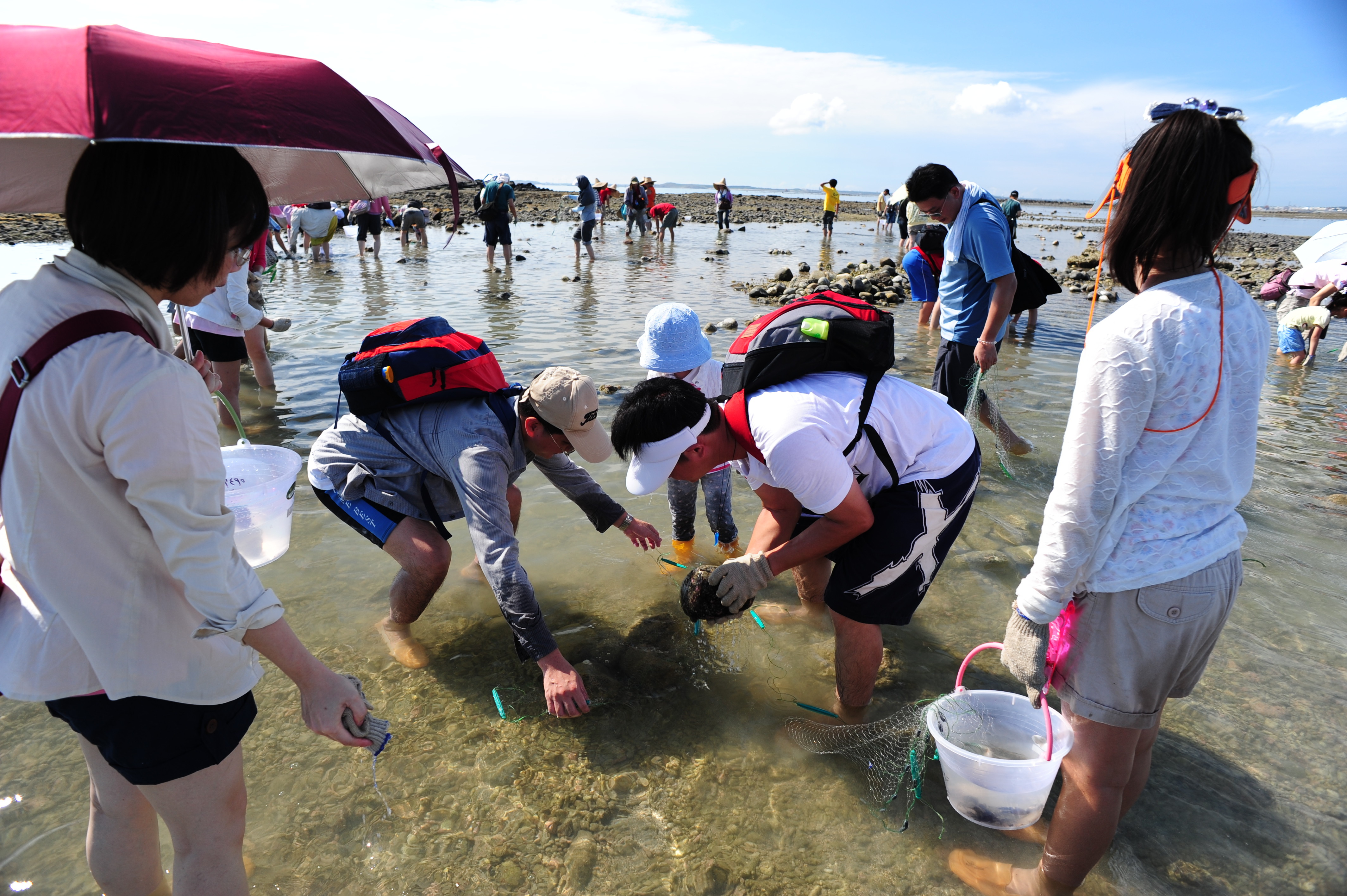 ▲▼觀光,觀光客,國旅,澎湖,旅遊,旅客。（圖／觀光局提供）