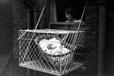 把嬰兒放在懸空籠子！19世紀「籠子育嬰法」大流行　掛室外讓寶寶身強體壯