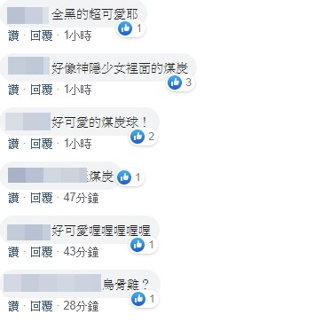 ▲▼             。（圖／翻攝自臉書社團／有點毛毛的）